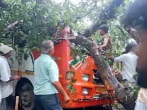 बाराबंकी में दर्दनाक हादसा,रोडवेज बस पर पेड़ गिरने से शिक्षक समेत 6 की मौत,17 घायल
