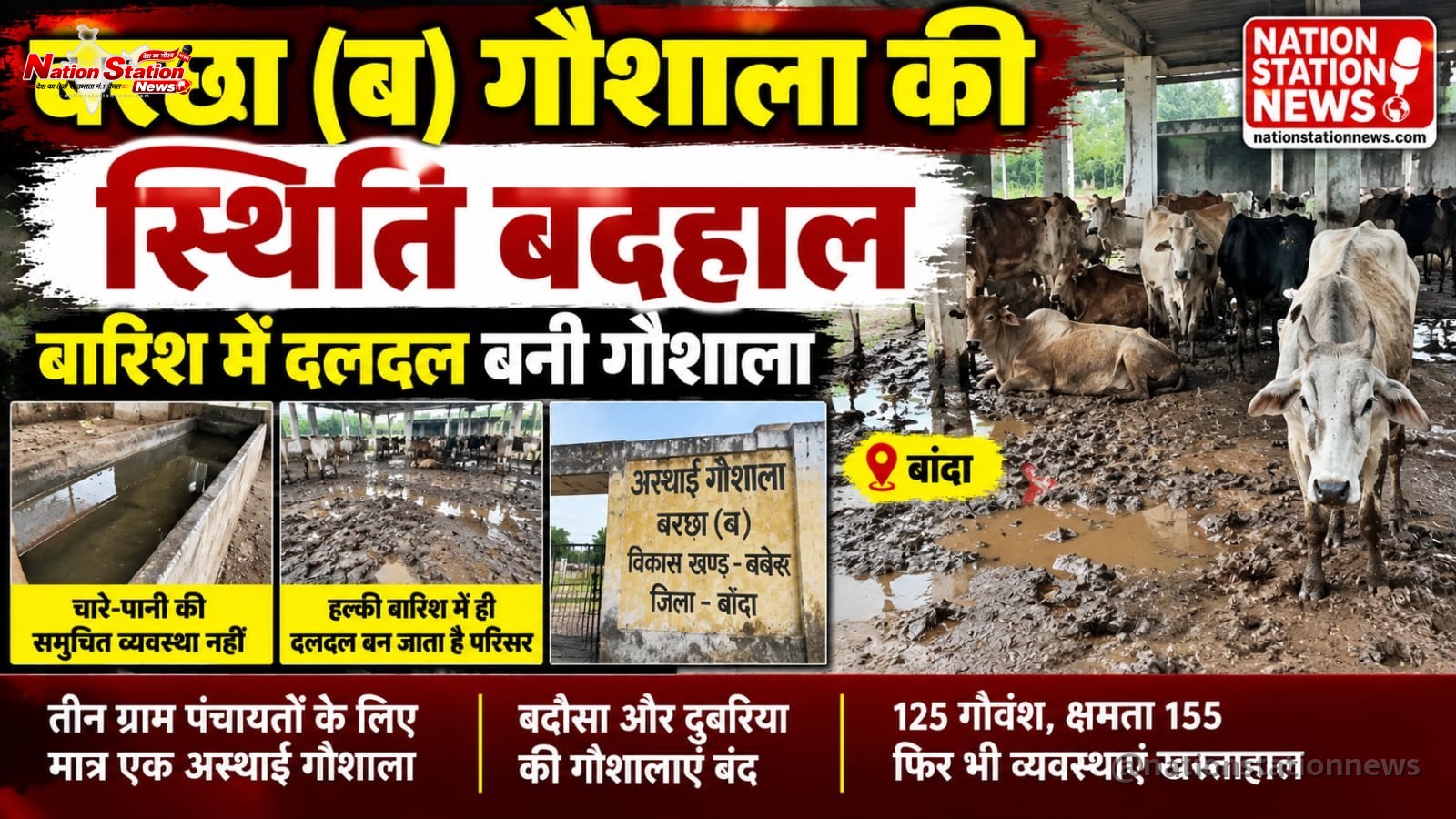 बरछा (ब) की गौशाला बदहाल, बारिश में दलदल बन जाता है परिसर